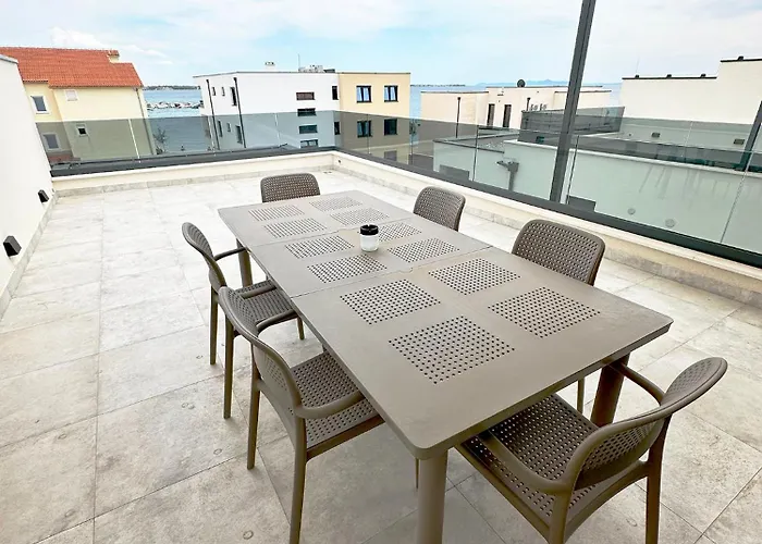 Beautiful New Palmtree Ii *