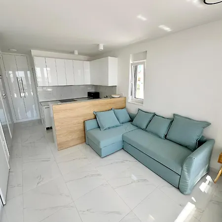 Beautiful New Palmtree Ii Vir